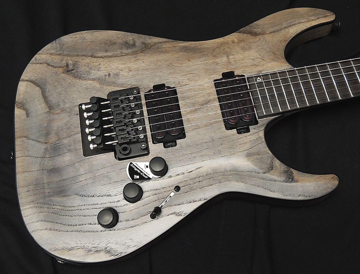 Amazon | Schecter AD-C-1-FR-APOC RG APOCALYPSE Rusty Grey